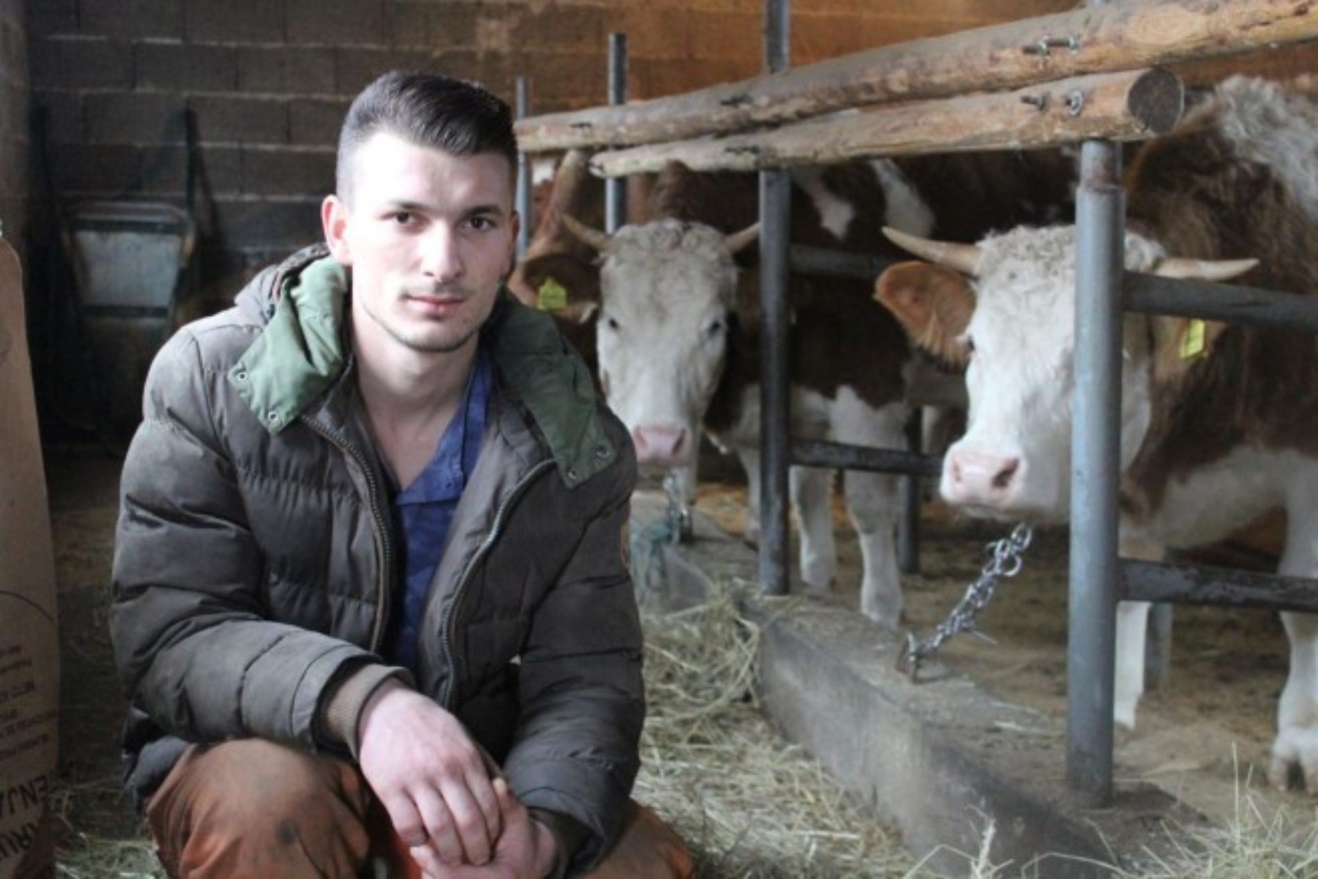 Abid Malić, najmlađi farmer u Srebrenici: Imate slobodu da uspijete ako hoćete