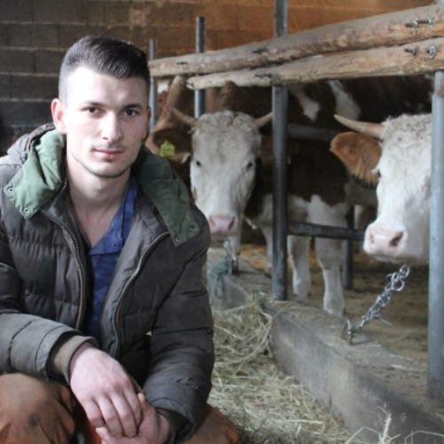 Abid Malić, najmlađi farmer u Srebrenici: Imate slobodu da uspijete ako hoćete