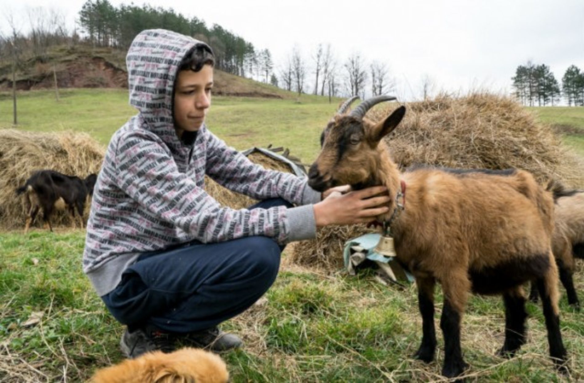 Dječaku Jasminu koji je želio kozu umjesto bicikla ispunila se želja: Presretan sam