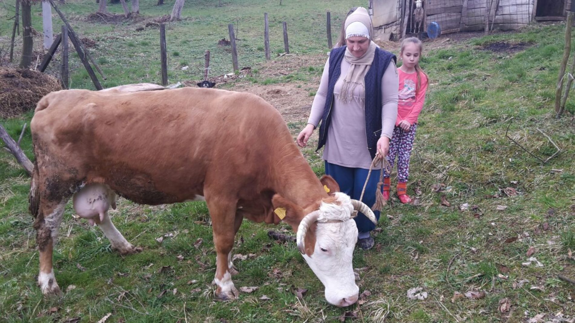 Senija Selimović iz Zvornika za Osmi mart dobila kravu