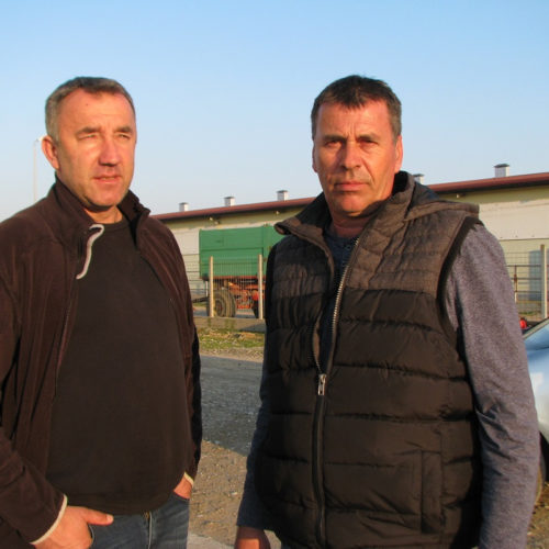 Složni Grgići proizvode juneće meso za pola Bosne