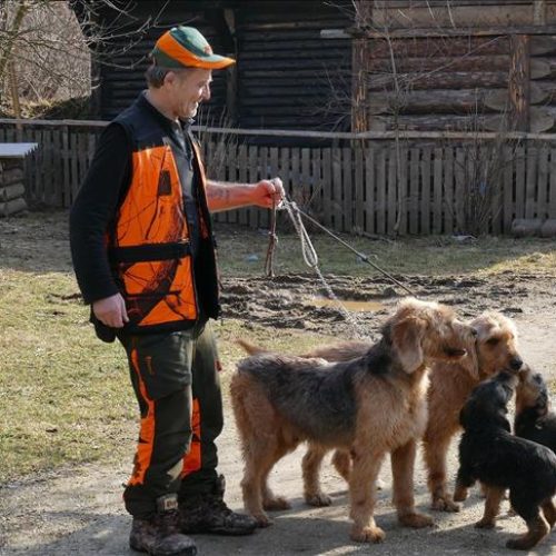 Mirhad Džaferagić poklanja bosanske autohtone lovačke goniče i promoviše Bosnu i Hercegovinu širom svijeta