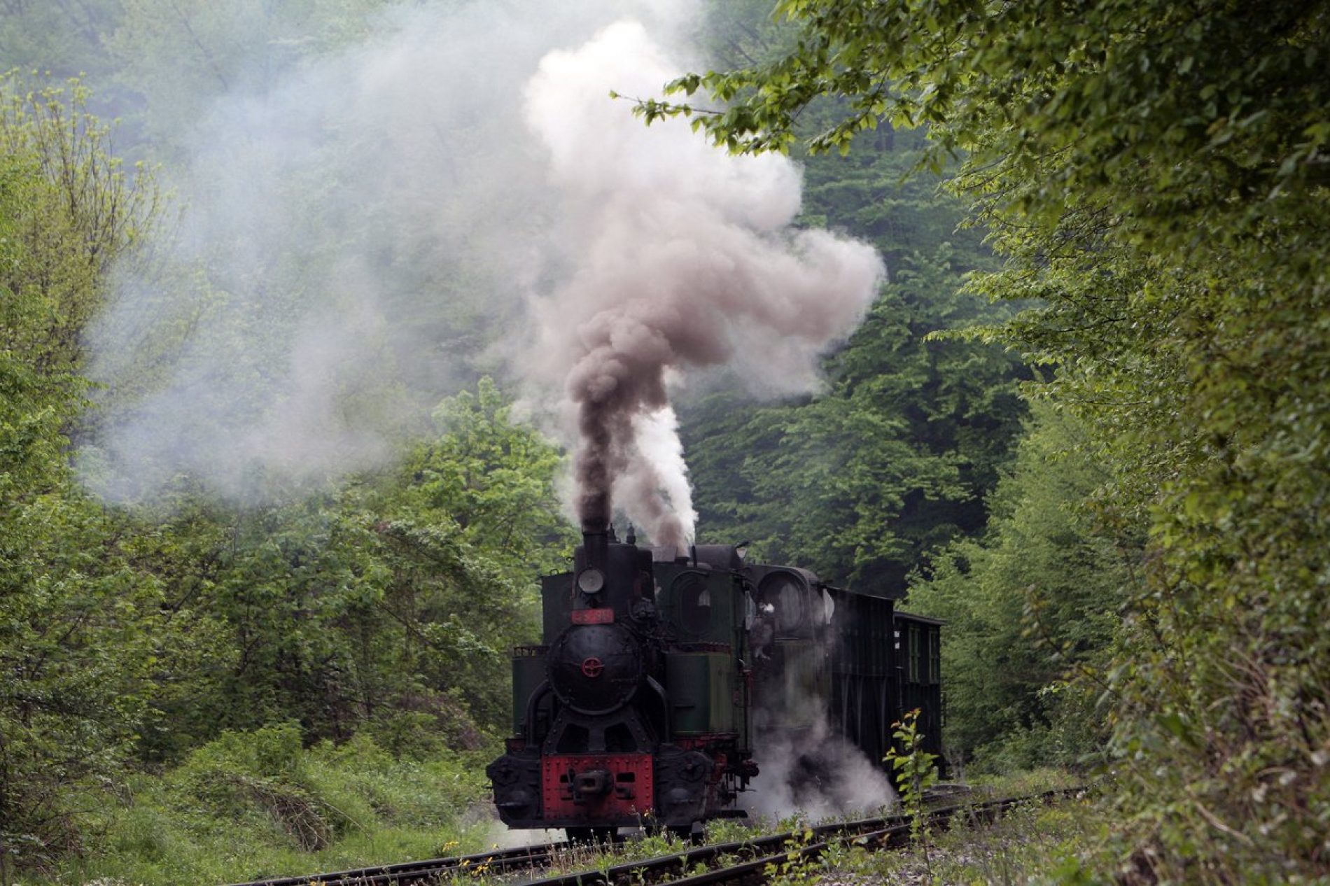 Banovići: Parne lokomotive privlače veliki broj turista