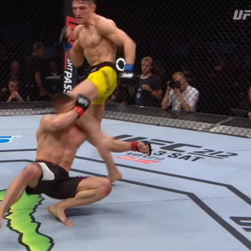 UFC: Damir Hadžović nokautirao protivnika