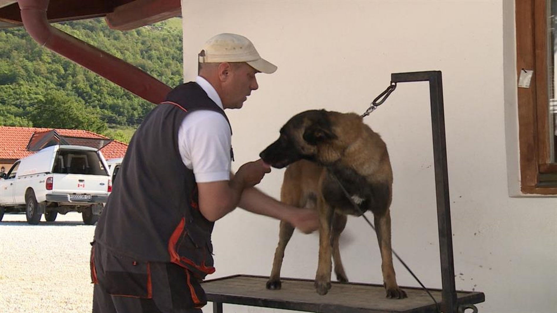 Psi demineri iz Bosne i Hercegovine spašavaju živote širom svijeta