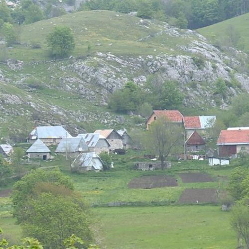 Gradski život zamijenili seoskim: Uspješan biznis porodice Fatić u Umoljanima