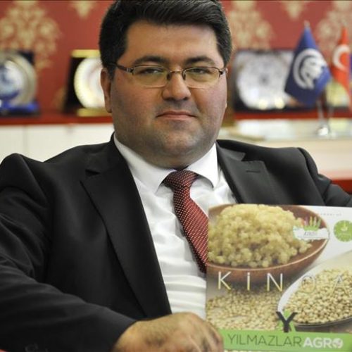 Otporna biljka, važna namirnica: U Bosni i Hercegovini uskoro počinje uzgoj kvinoje