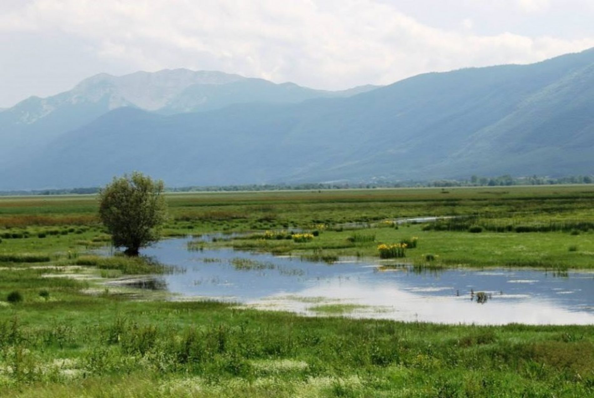 Prirodna bogatstva Bosne i Hercegovine – Livanjsko polje