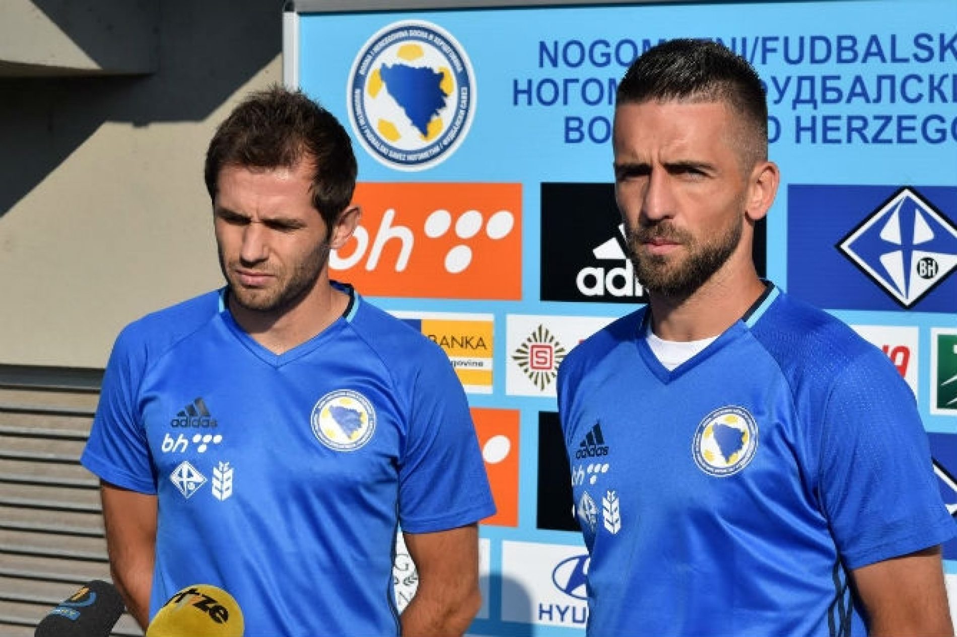 Ibišević i Lulić u 2017. zaključili reprezentativnu karijeru