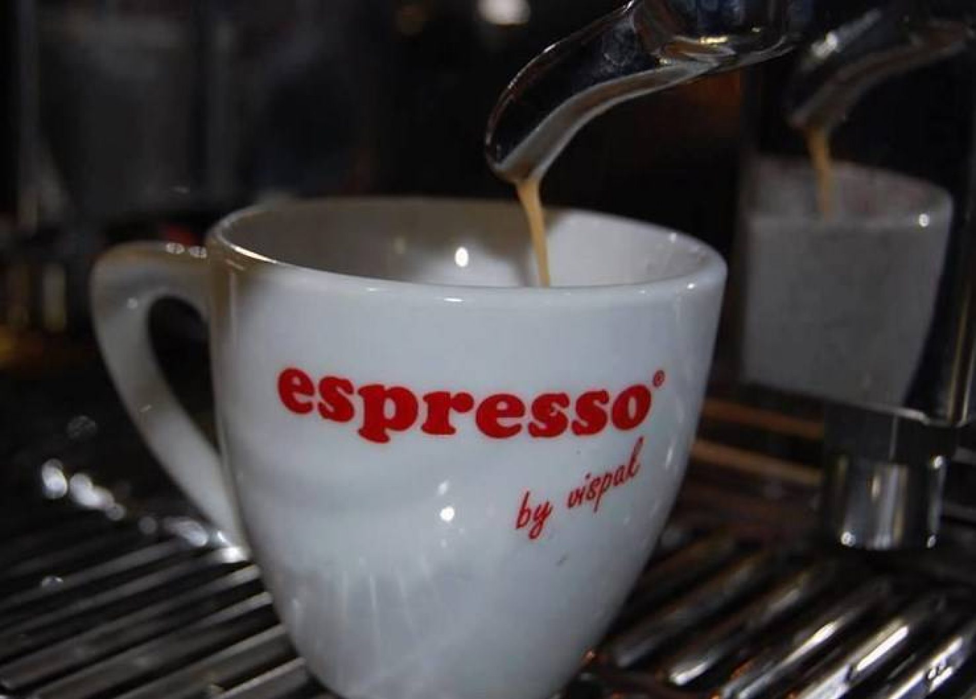 Vispakov Esspreso pije se u 80 kafea u Kairu, Aleksandriji i Hurgadi