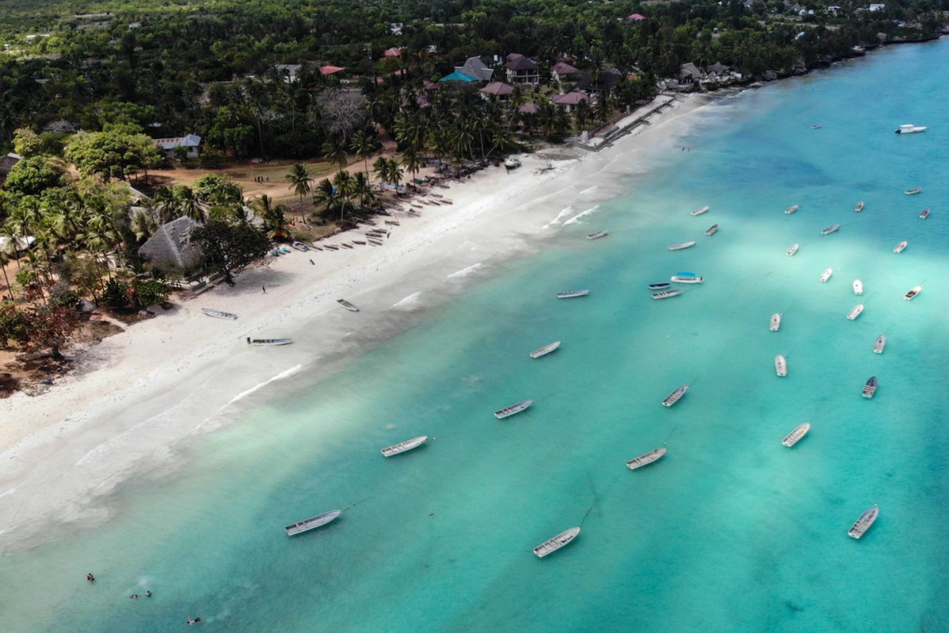Zanzibar, otok začina sa bijelim pijeskom i tirkizno plavim okeanom