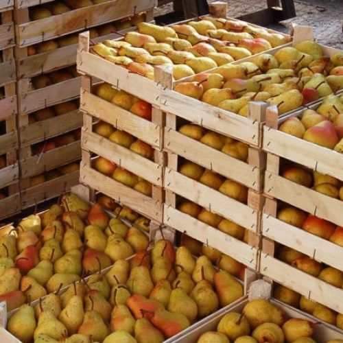 Voćarstvo se isplati: ‘Linija voća’ iz Brčkog povećala proizvodnju i broj zaposlenih