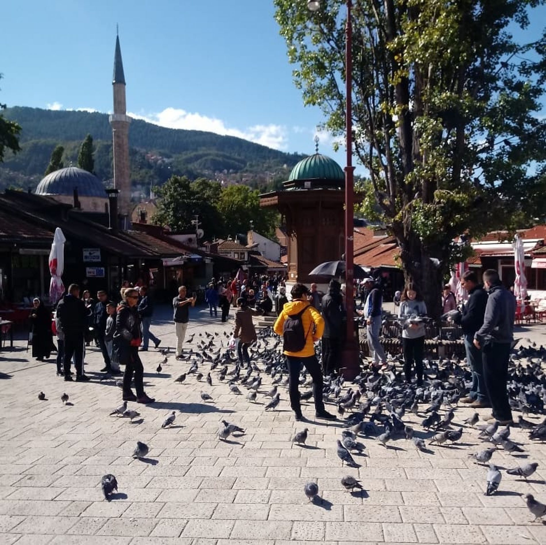 Sarajevo: Općina Stari Grad postavlja ‘solarna stabla’ na javnim površinama