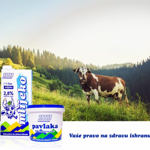 Zenička industrija mlijeka: Bosna i Hercegovina ima sve predispozicije za proizvodnju i izvoz zdravog mlijeka