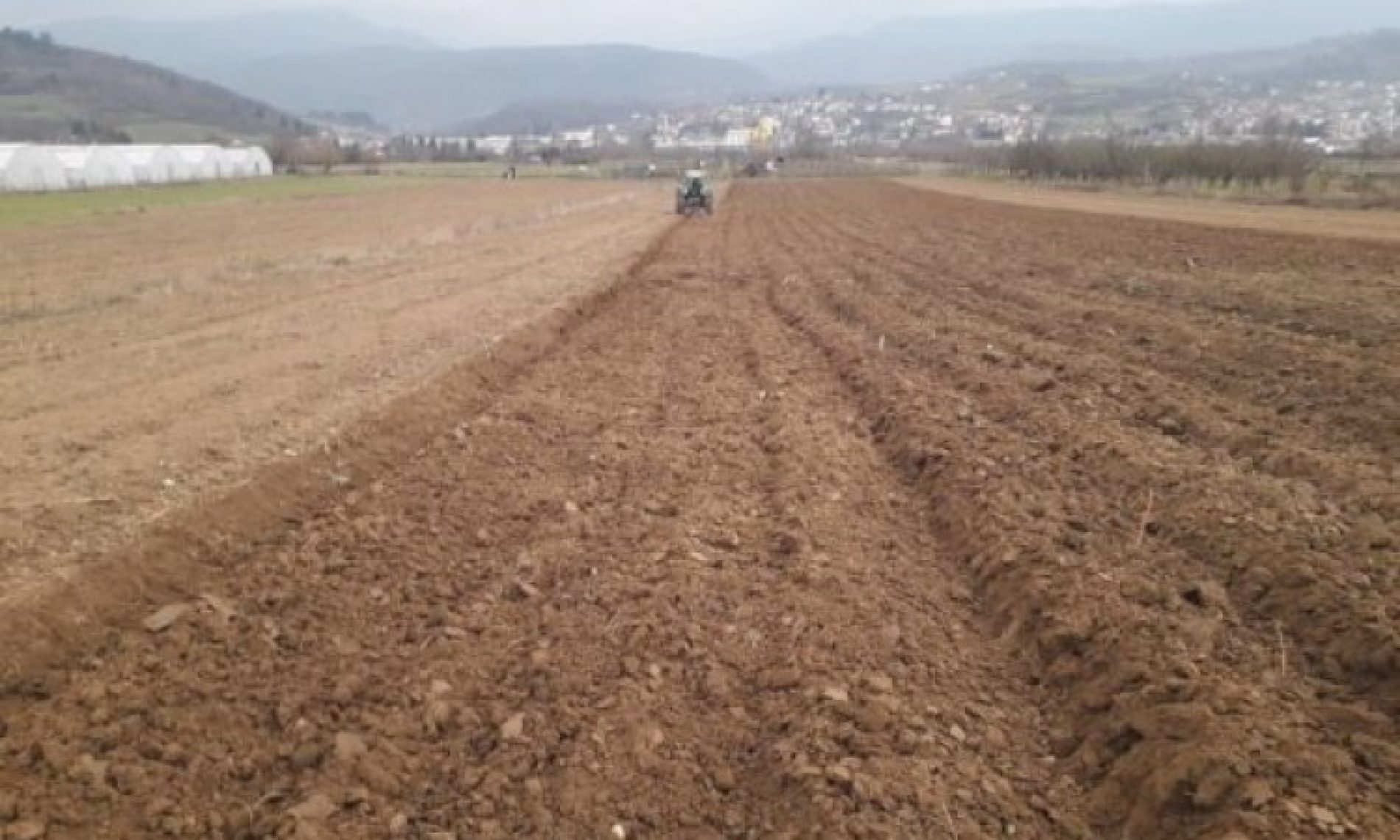 U proljeće počinje uzgoj lješnika na području donjovakufske općine