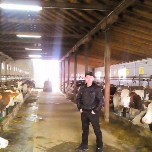 Kakanjski farmeri bilježe rekord u proizvodnji svježeg kravljeg mlijeka (Video)