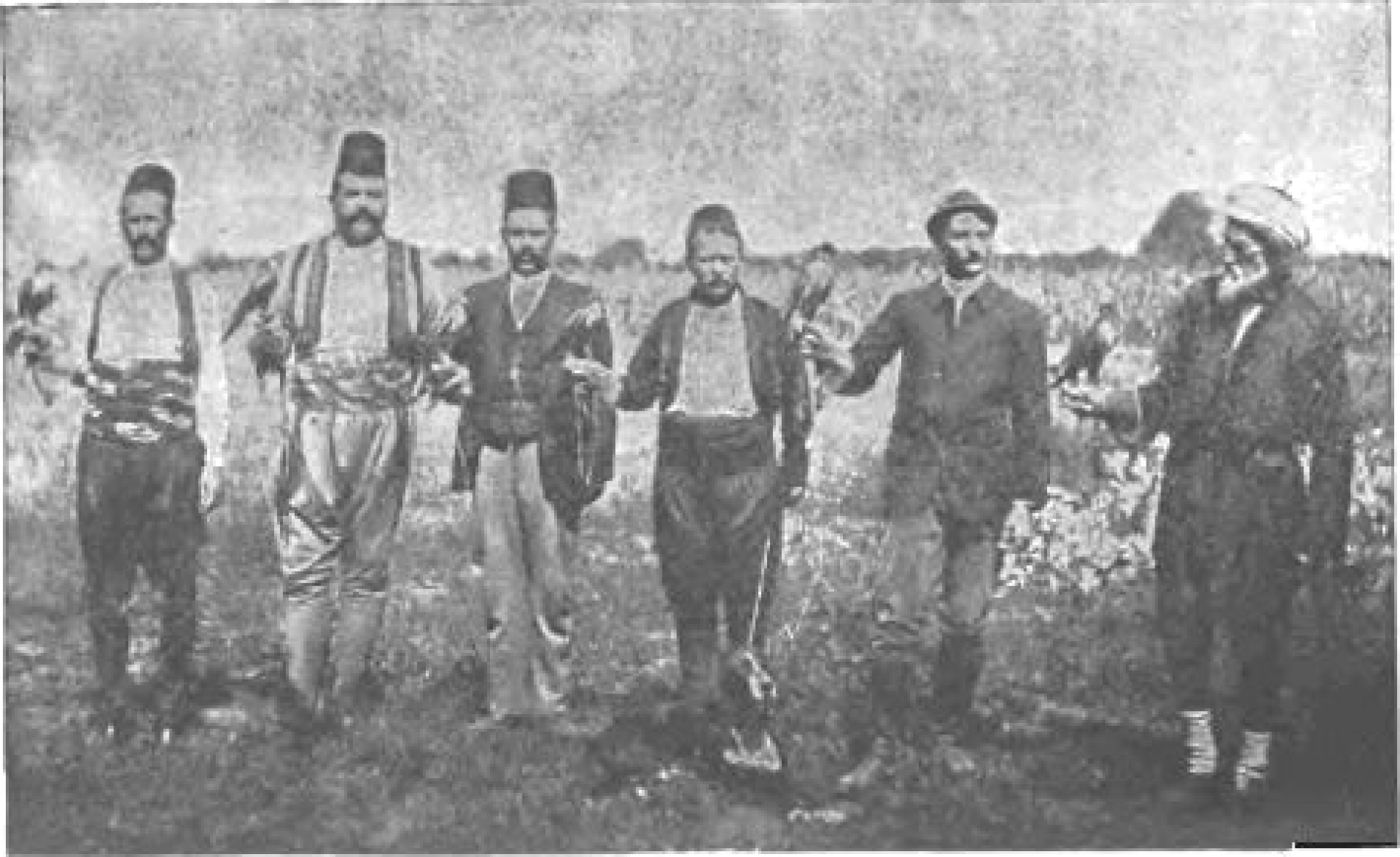 Lov sa sokolovima, zaboravljena tradicija Bosne