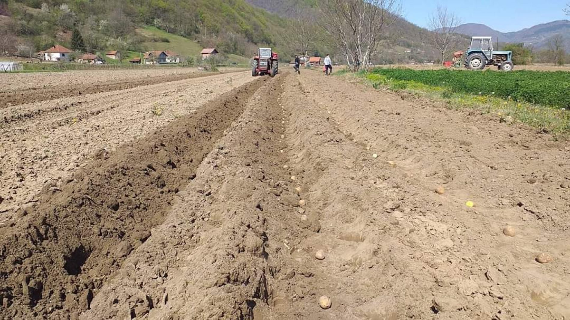 U toku sjetva na 116 hektara vakufskog zemljišta u Bosni i Hercegovini
