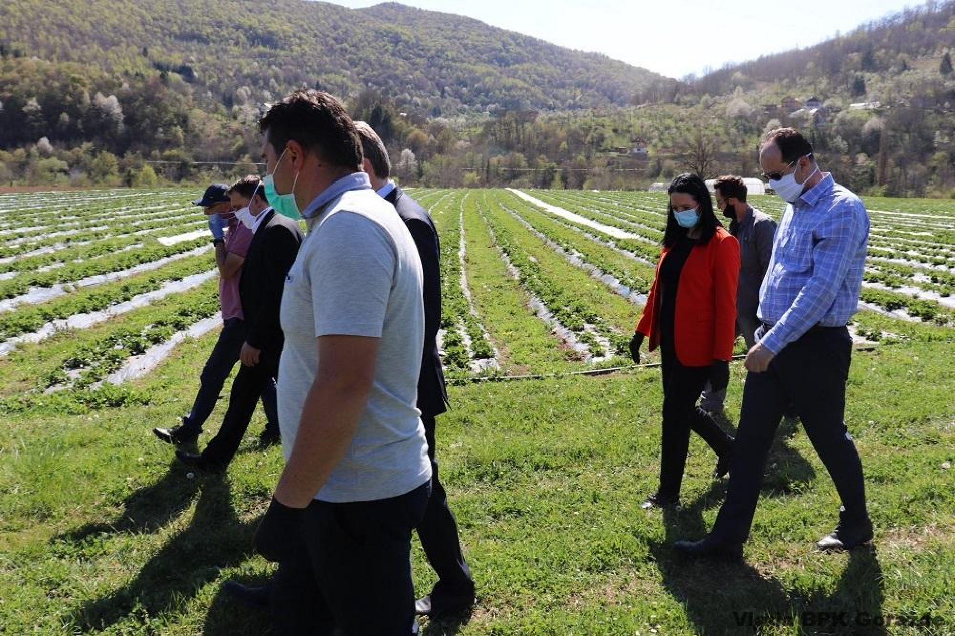 Kompanija “Agro ideja” iz Sarajeva na području Ustikoline proizvodi voće i povrće