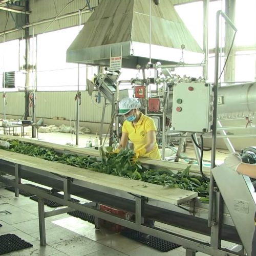 ‘Semberka’ u Janji pokazuje da naša zemlja može proizvoditi hranu za svoje stanovništvo
