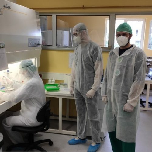 Na Veterinarskom fakultetu u Sarajevu izoliran bosanski soj virusa SARS-CoV-2