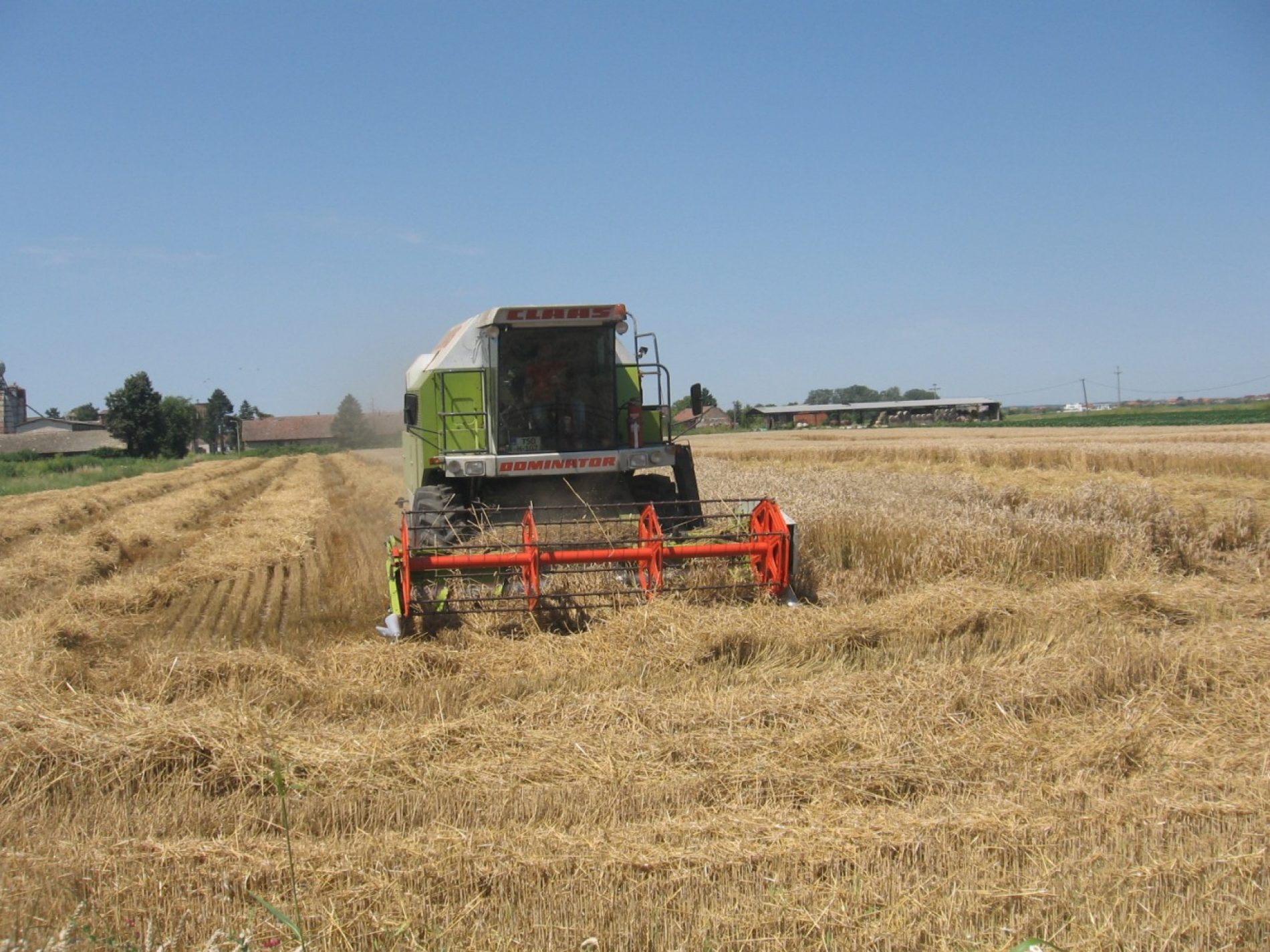 Žetva pšenice u Semberiji: Cijena dobra, godina rodna