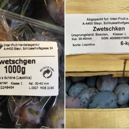 Šljive iz Bosne i Balkana tražena roba na austrijskom tržištu
