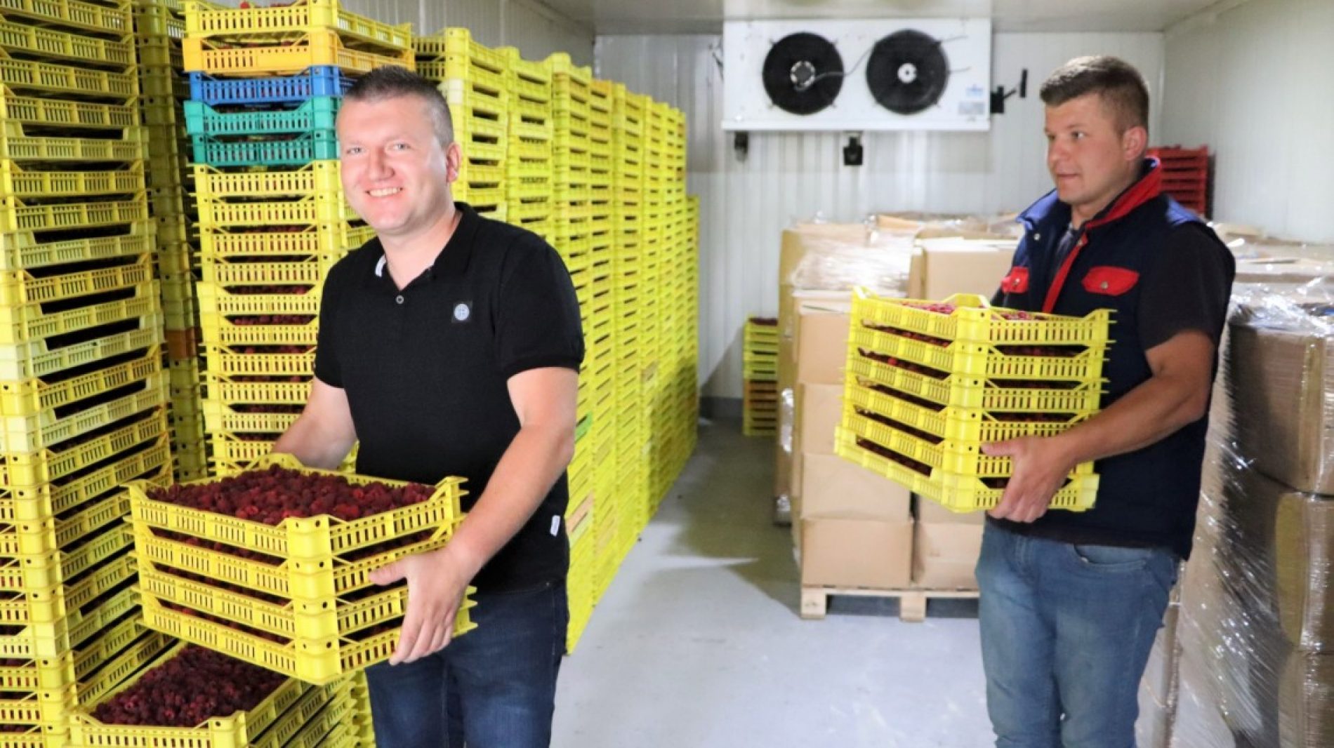 Kompanija braće Omeragić proizvodi i otkupljuje jagodičasto i šumsko voće – novi pogon za zamrzavanje omogućit će da utrostruče posao
