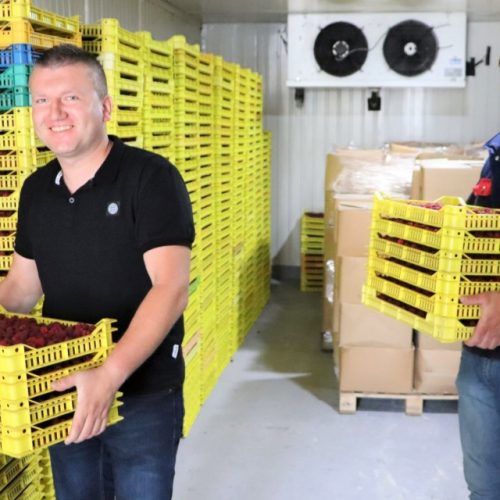 Kompanija braće Omeragić proizvodi i otkupljuje jagodičasto i šumsko voće – novi pogon za zamrzavanje omogućit će da utrostruče posao