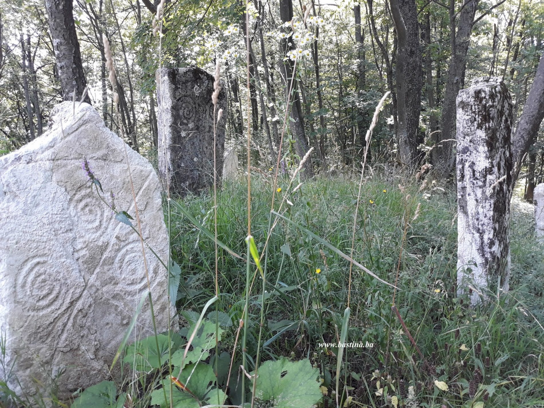 Tuzla: Informacionim tablama označena nekropola stećaka u Breškama
