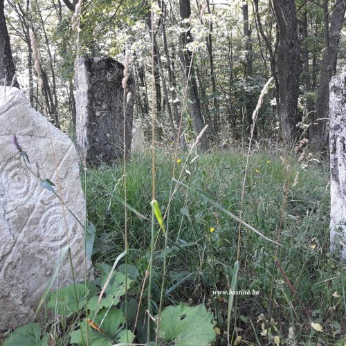 Tuzla: Informacionim tablama označena nekropola stećaka u Breškama