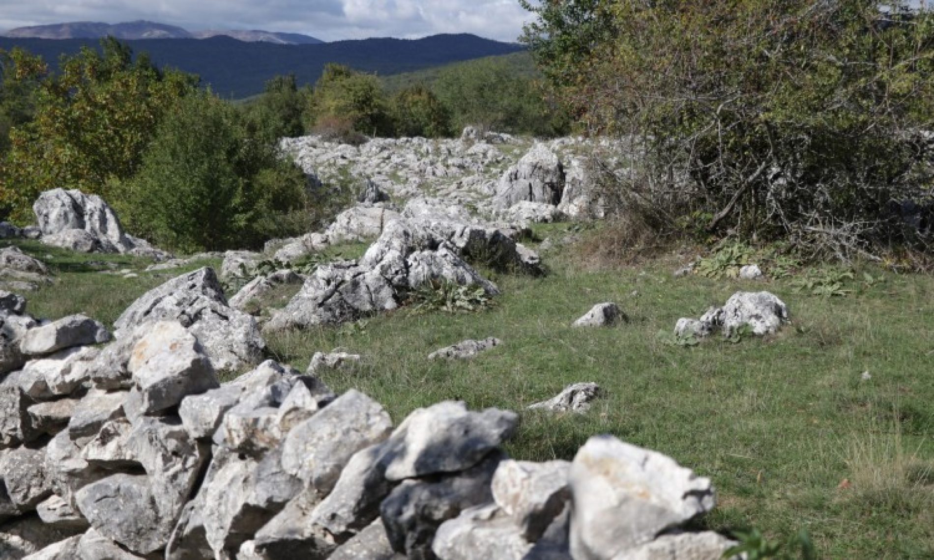 ‘Kamene livade’ – livade ograđene kamenom ogradom uobičajena praksa u Hercegovini