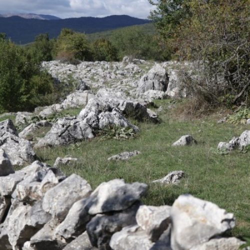 ‘Kamene livade’ – livade ograđene kamenom ogradom uobičajena praksa u Hercegovini
