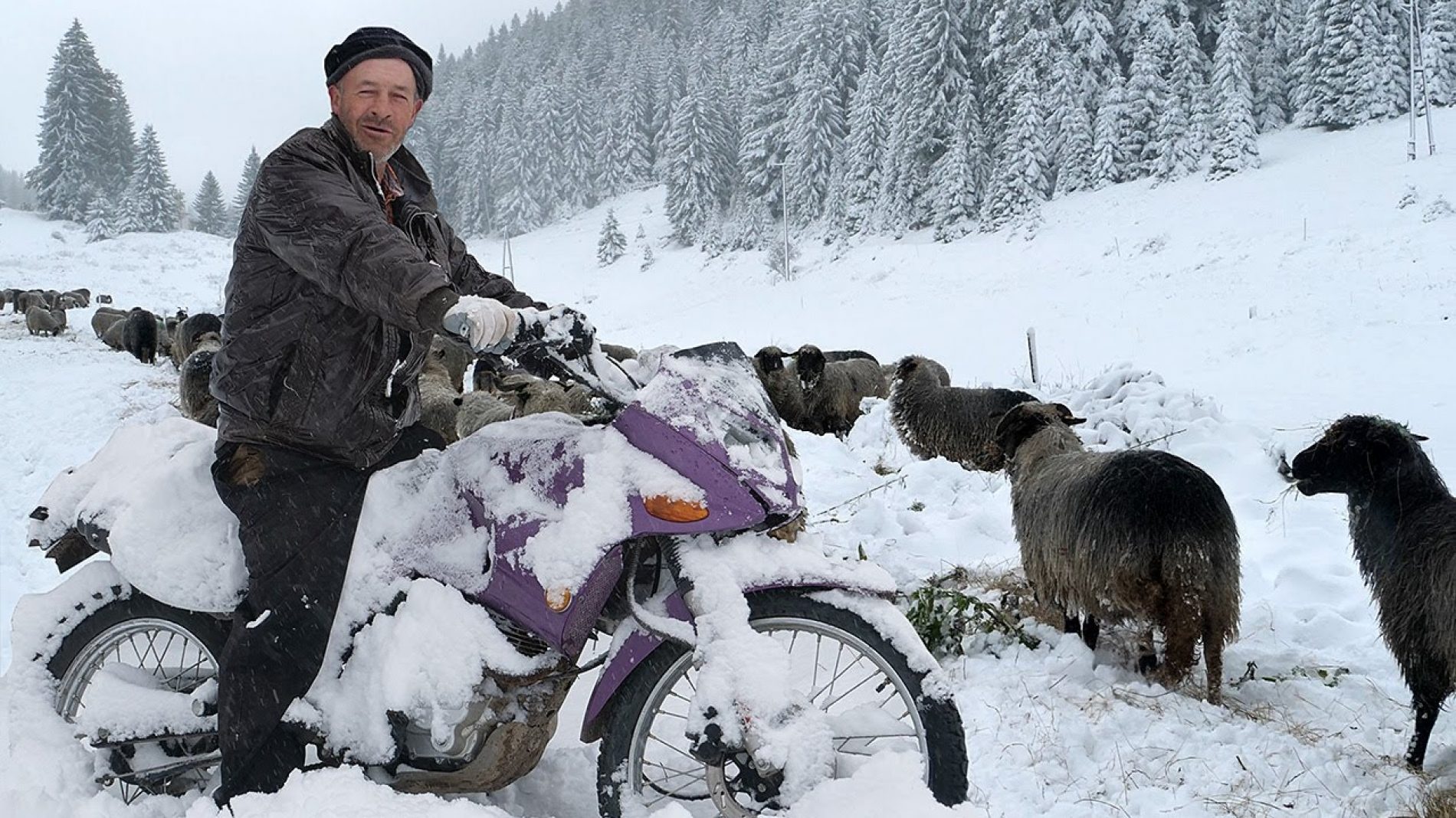 Vlašić pod snijegom, ovačari kreću na put dug 200 kilometara (Video)