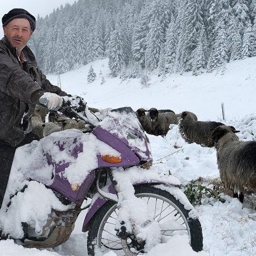 Vlašić pod snijegom, ovačari kreću na put dug 200 kilometara (Video)
