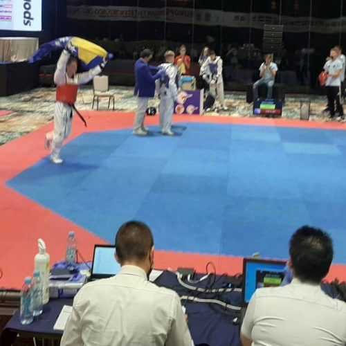 Taekwondo: Dva zlata, srebro i bronza za bosanske kadete