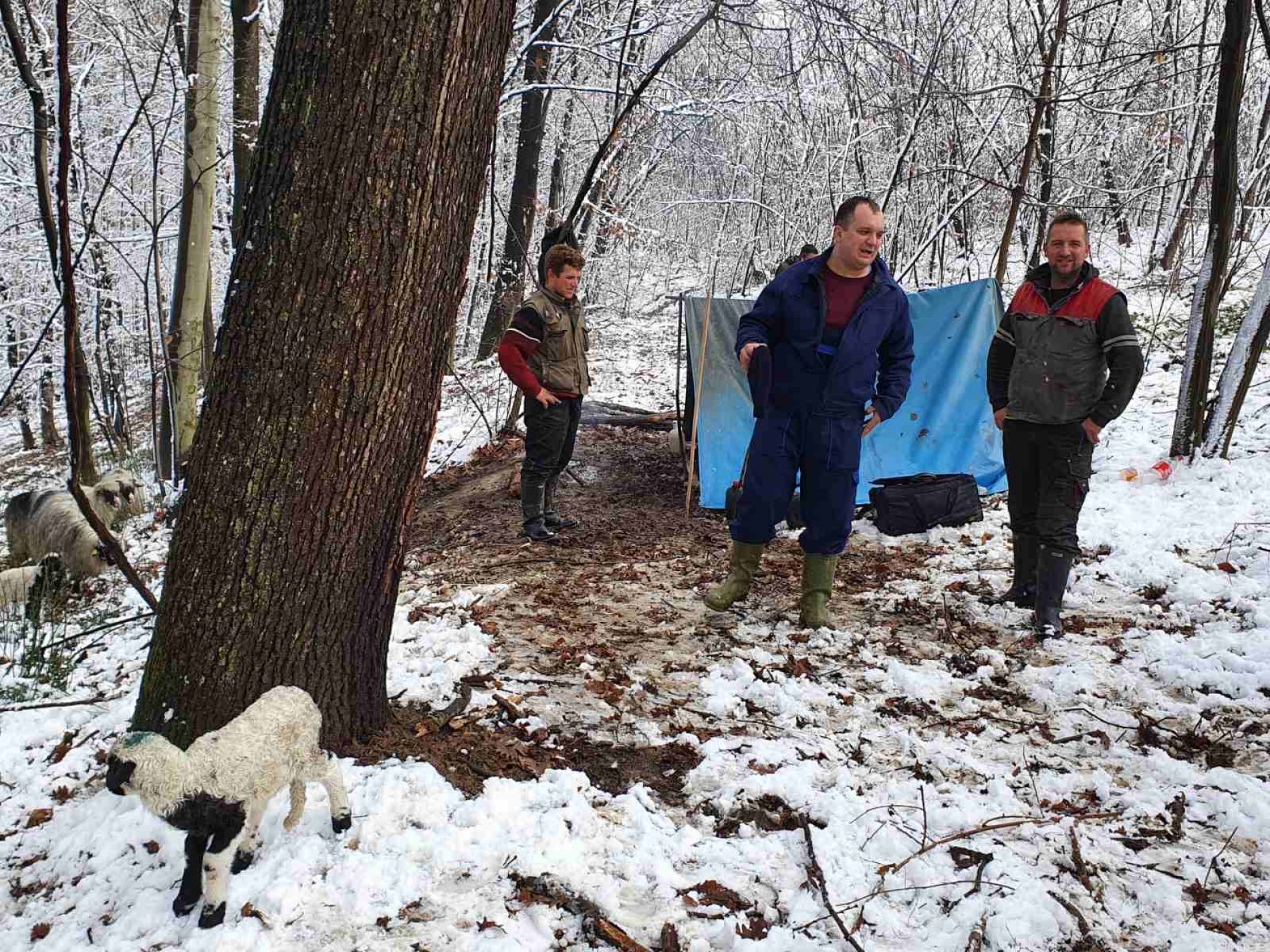 Jedni među posljednjim bosanskim nomadima: Braća Tahirovići gotovo cijelu godinu žive na otvorenom