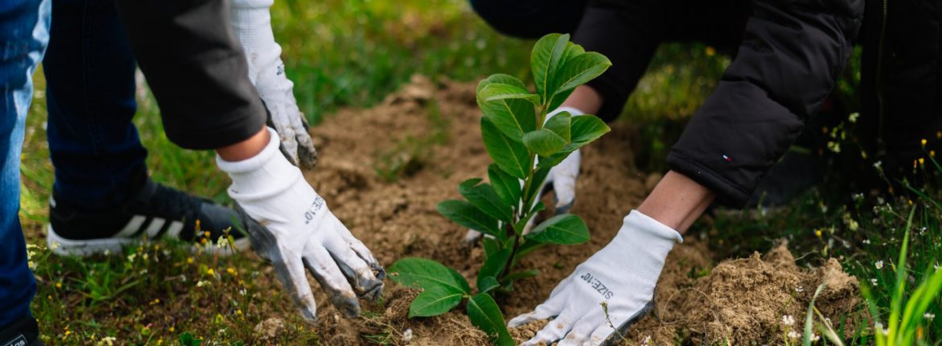 Mladi volonteri zasadili više od 6000 sadnica uz poruku „Jedno drvo čini razliku!“