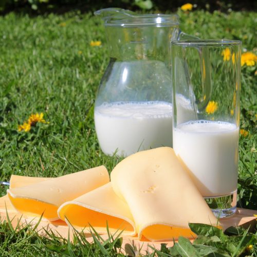 Proizvodnja mlijeka u prošloj godini porasla za 10,6 posto