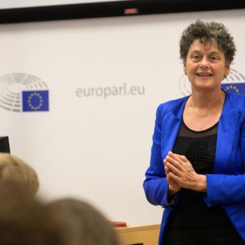 Evropska parlamentarka Tineke Strik: Sretna zbog usvojenog izvještaja koji podržava evropsku budućnost Bosne