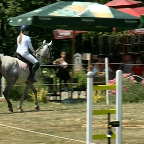 Konjički sport sve popularniji u Bosni i Hercegovini (Video)