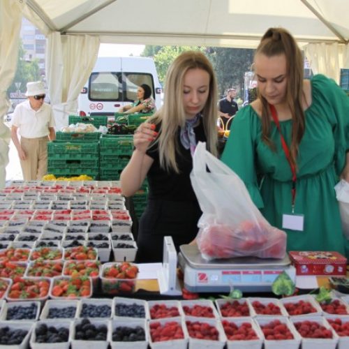 ZENICA – Počeo Prvi sajam domaćih poljoprivrednih proizvoda – “ESOF FAIR TRADE”
