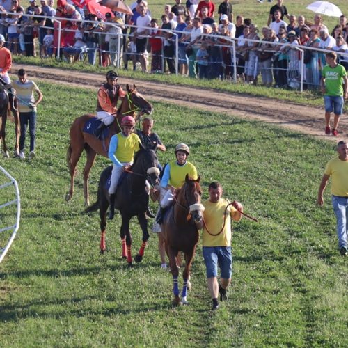Krajišnici vole konjički sport: Grlo „Thunder Rock“ pobjednik Velikih međunarodnih konjičkih utrka  na hipodromu Drmaljevo