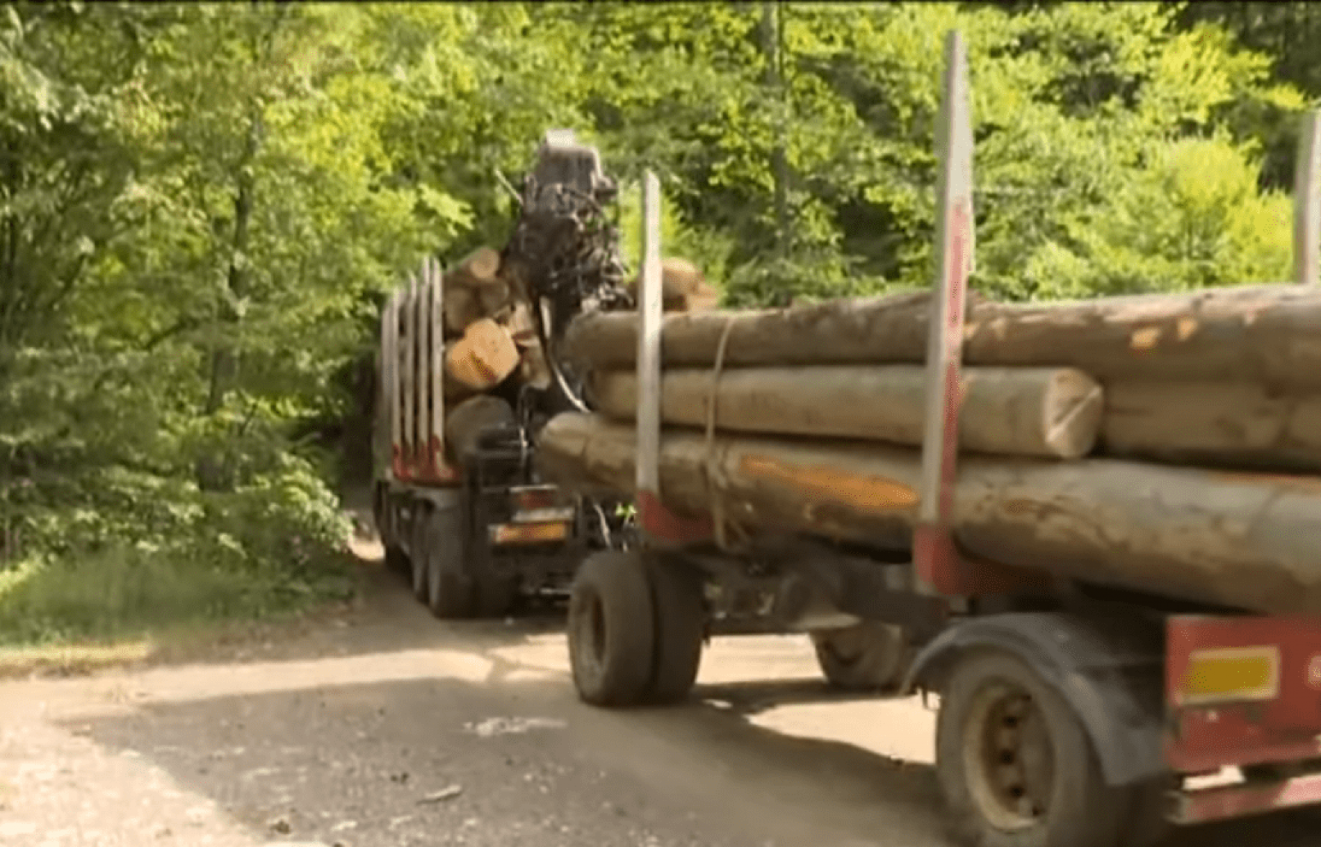 Sječa šume na Konjuhu ostavlja dugoročne štetne posljedice