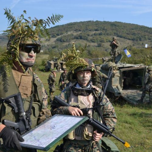 Oružane snage Bosne i Hercegovine primaju 500 vojnika