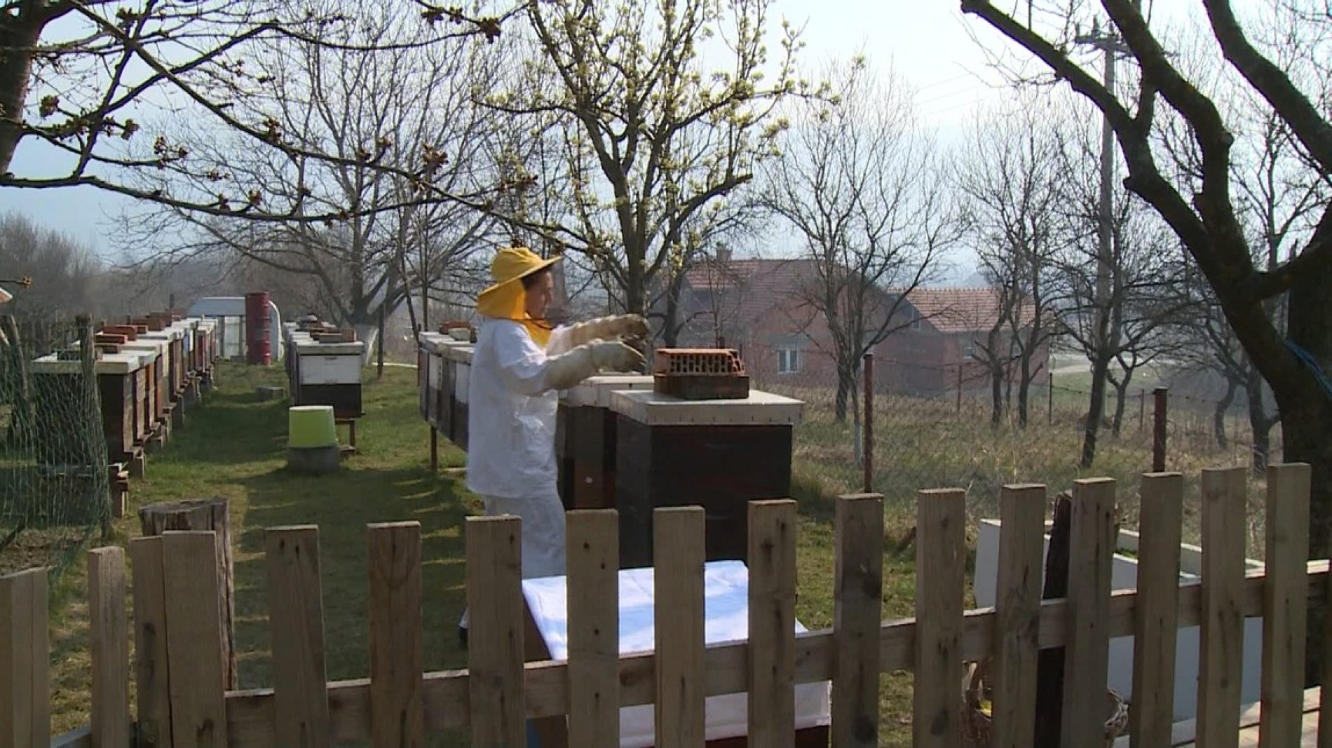 Bihać: Sve veći broj žena se odlučuje za pčelarstvo