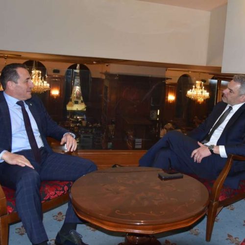 Kancelar Nehammer i ministar Cikotić o jačanju bilateralnih odnosa Austrije i Bosne i Hercegovine
