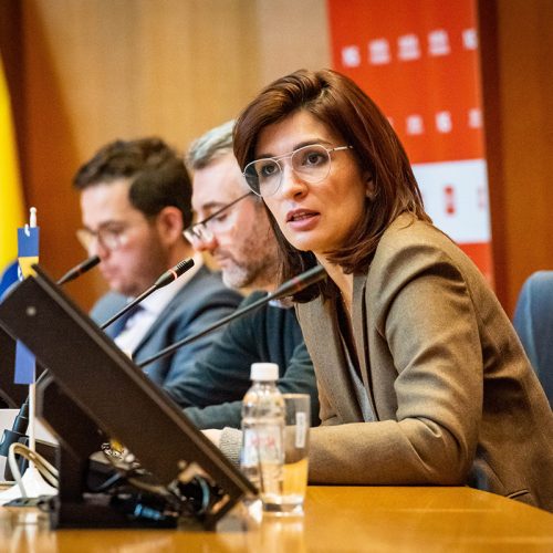 Sabina Ćudić pozvala na političku neutralizaciju Milorada Dodika