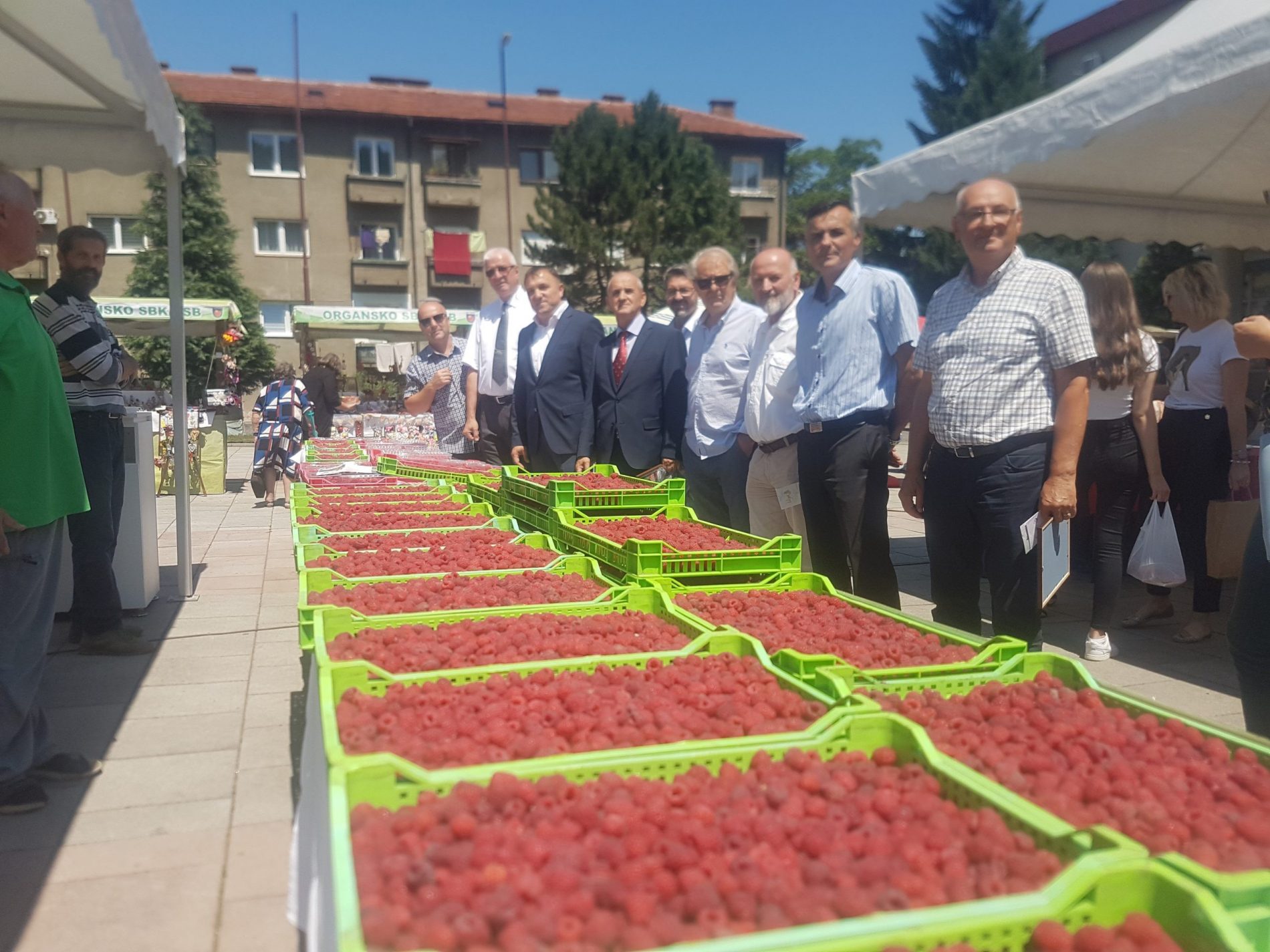 “Dane maline” u Novom Travniku: Potražnja za bosanskim malinama u porastu