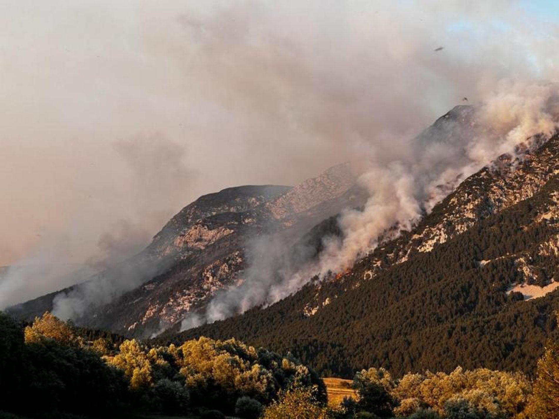 Vatrogasci iz Kantona Sarajevo pomažu gasiti požar na području Blidinja